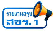 รายงานสรุป สขร.1